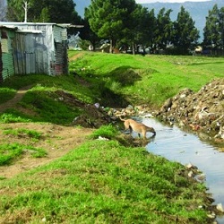 future water research institute university of cape town