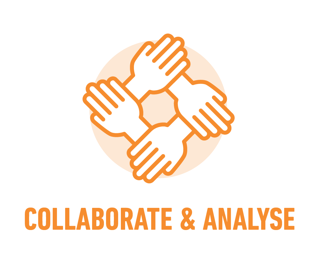 Collaborate & analyse