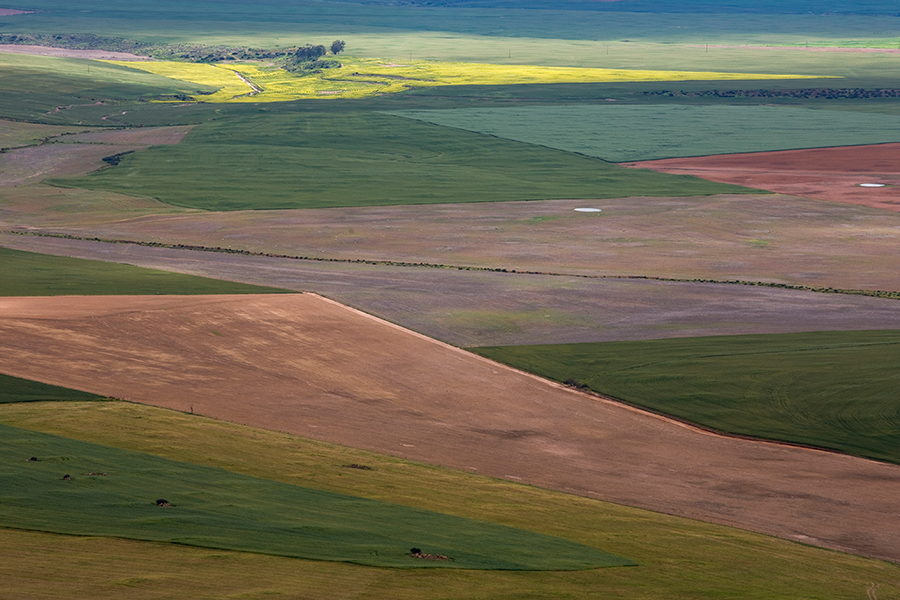 The Native Land Act of 1913 allocated approximately 87% of South Africaâs land to whites, including most of the fertile and productive lands, leaving the black population with marginal and relatively unproductive land. Image source: World Bank v