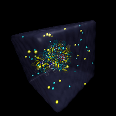Cartoon representation of NanA sialidase (PDB:2VVZ) from Streptococcus pneumoniae solvated in water. A trisaccharide substrate (van der Waals representation) is bound in the active site of the enzyme with sodium and chloride ions present in solution.