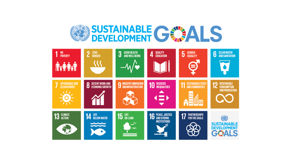 United Nations Sustainable Development Goals (SDGs)